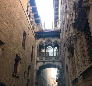 Pont del Bisbe image